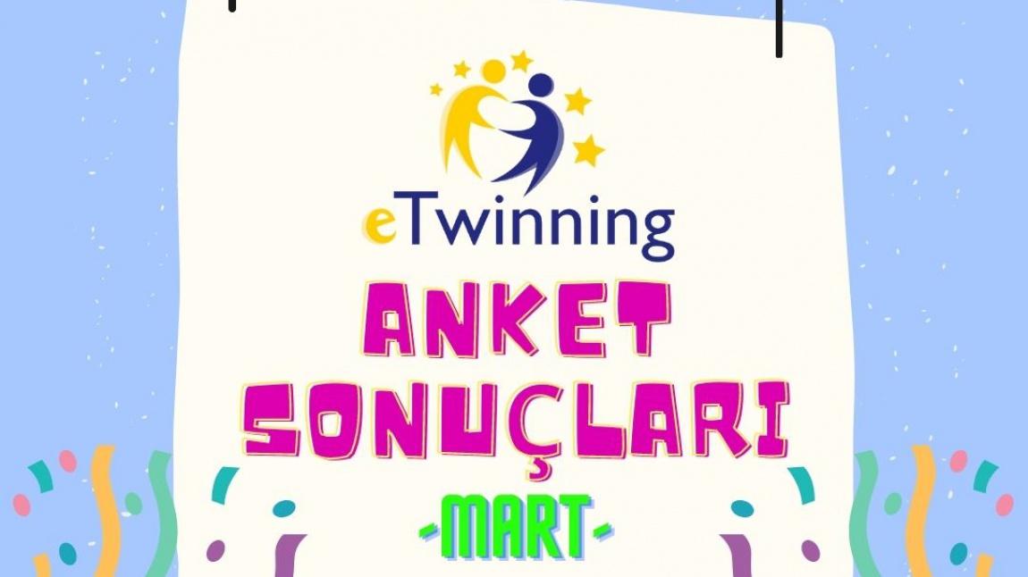 E-TWİNNİG MART AYI